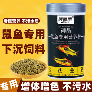 阿穆斯观赏鱼底栖异型鼠鱼饲料尼格罗青鼠鱼红头鼠下沉高蛋白鱼食