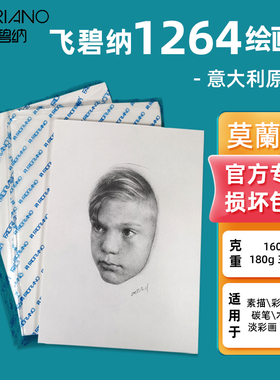 进口意大利飞碧纳莫兰迪素描纸彩铅油画棒绘画纸无酸180g300g160g