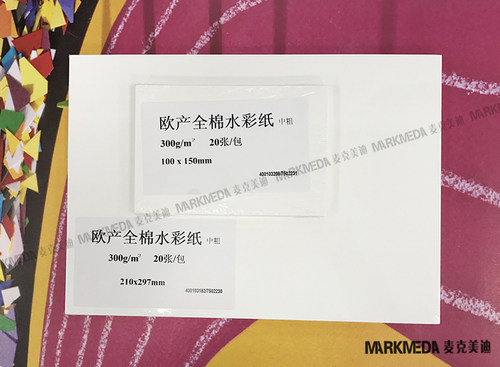 进口CANSON康颂欧产全棉水细纹