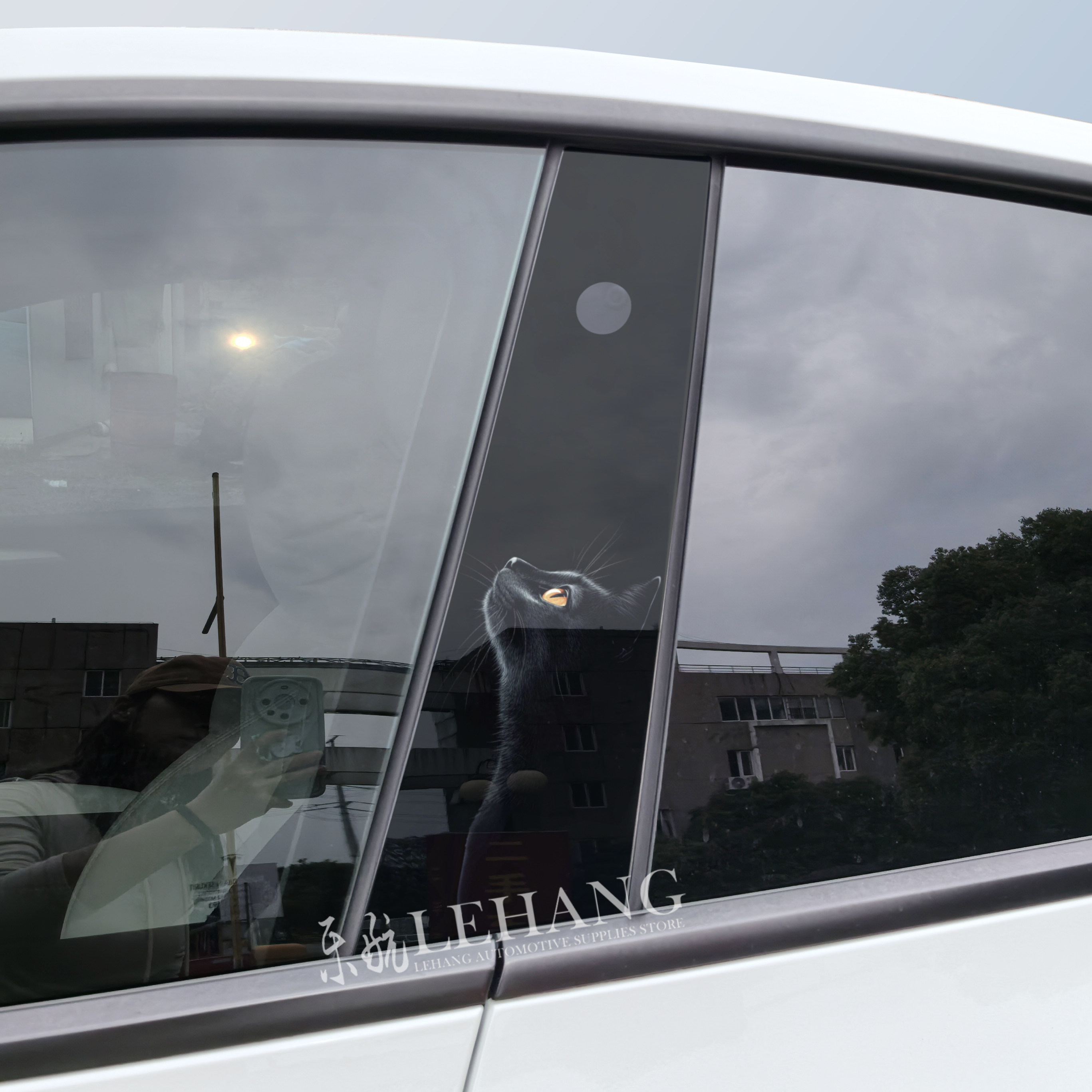 适用特斯拉MODEL3/Y汽车中柱贴