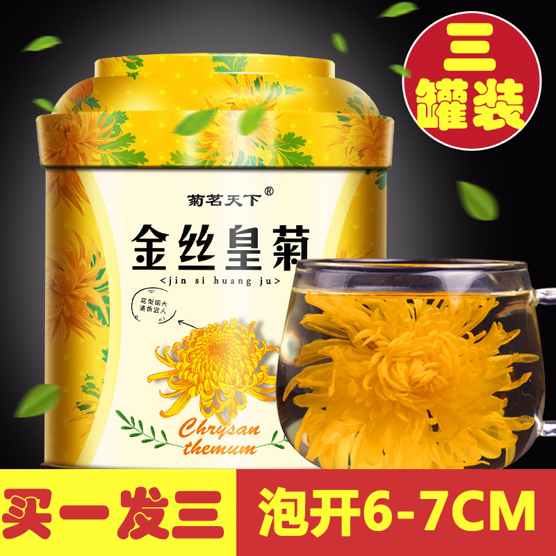 朵180金丝皇菊一朵一杯大黄菊特级新婺源清热去火买一发三