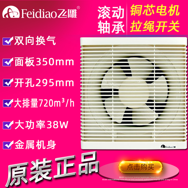 飞雕换气扇双向排气扇厨房卫生间排风浴室墙壁窗式抽风机静音10寸