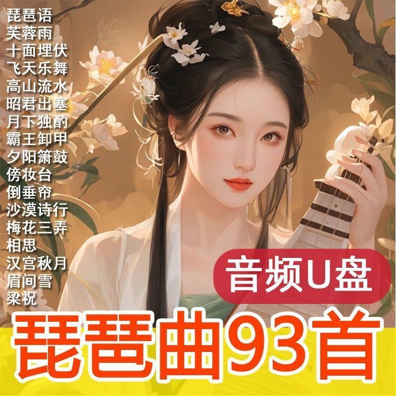 琵琶轻音乐U盘古典优美琵琶语芙蓉雨纯音乐民族风乐器演奏MP3优盘
