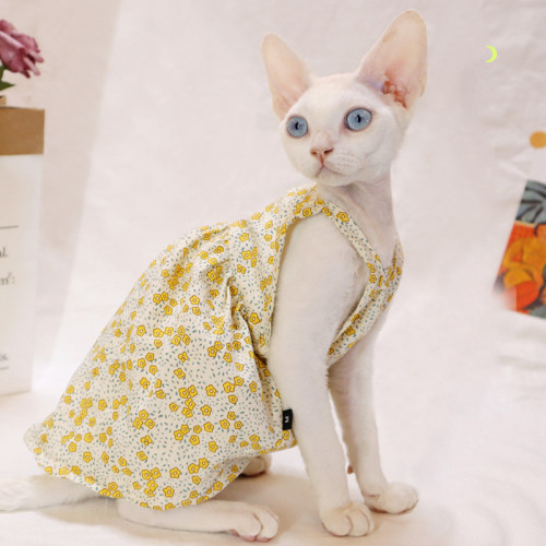 德文黄色碎花防过敏防晒无毛猫