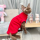 斯芬克斯德文无毛猫衣服纯棉弹力大红新年背心矮脚春秋季 好穿中厚