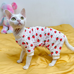 斯芬克斯德文无毛猫衣服四脚护肚纯棉弹力好穿绝育服可爱草莓磨毛
