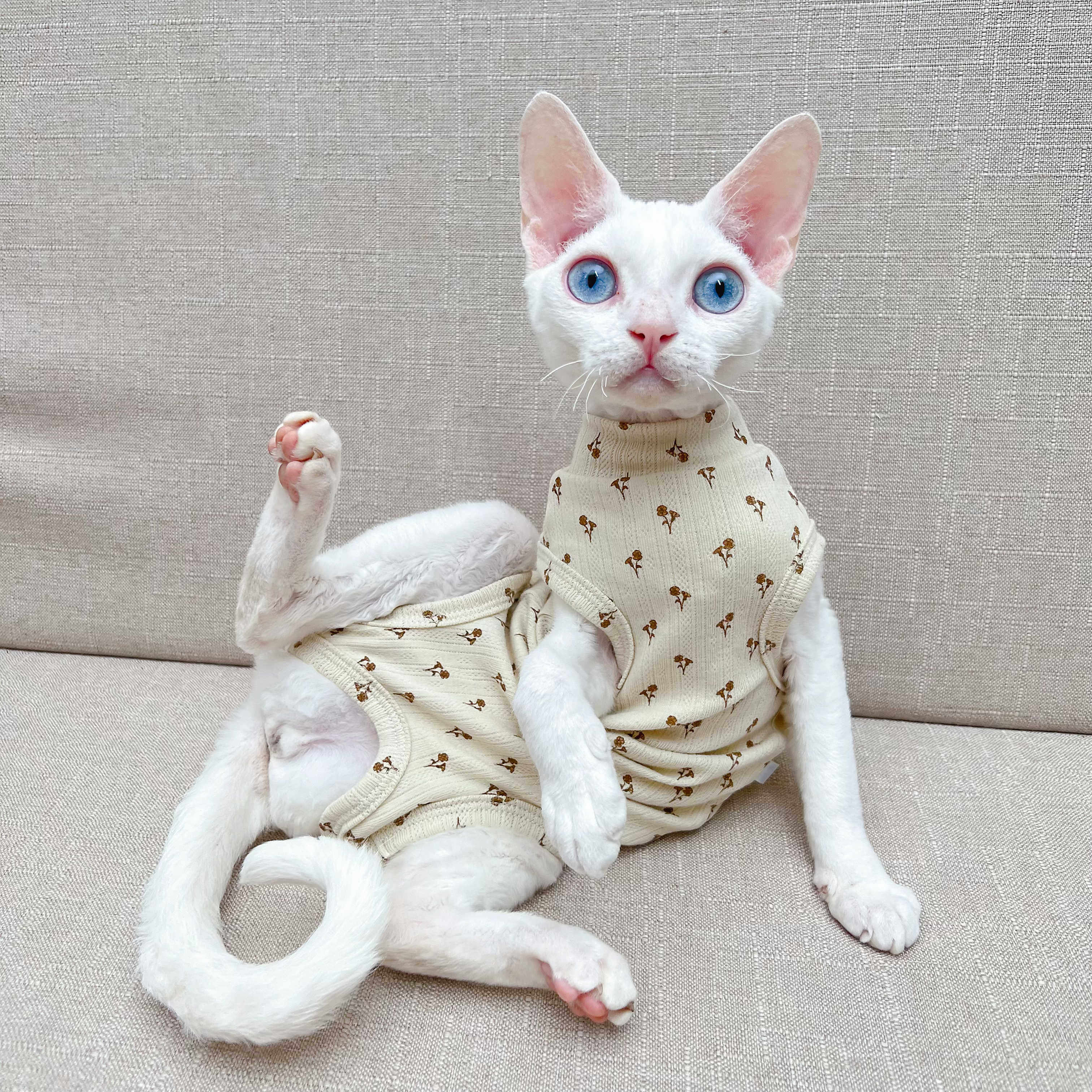 秋夏斯芬克斯无毛猫德文衣服纯棉薄款弹力保暖四脚衣透气空调服,宠物/宠物食品及用品,猫宠物服装/雨衣（新）,淘宝优惠券,粉丝福利购,淘宝优惠卷