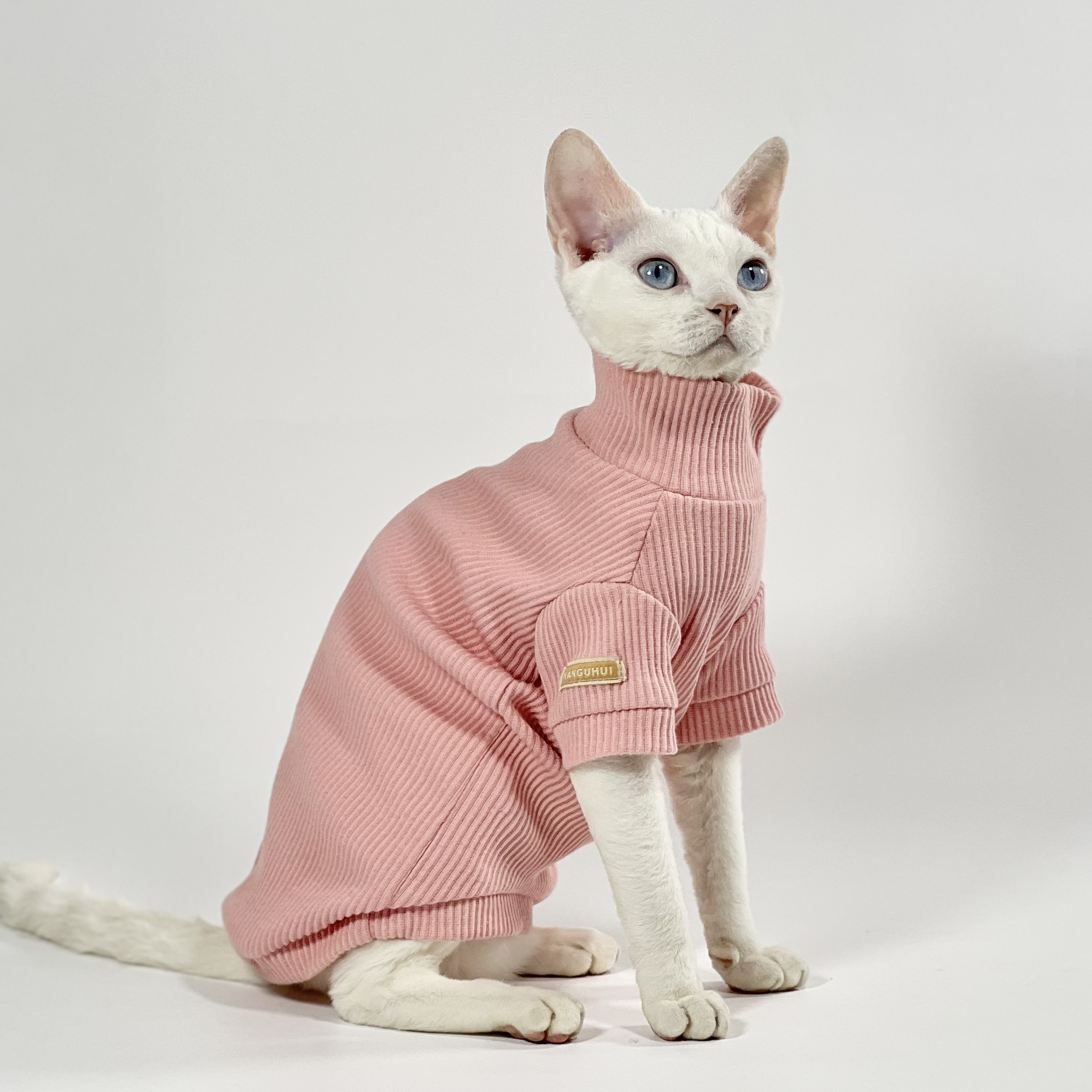 无毛猫衣服春秋斯芬克斯德文高领保暖耐舔耐脏柔软弹力纯棉打底衫