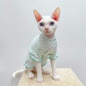 斯芬克斯无毛猫衣服纯棉弹力花边三叶草清新秋季 衣服磨毛手感舒服