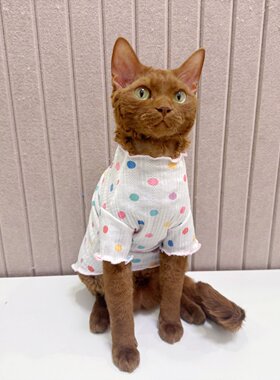 kalami德文猫衣服无毛猫宠物衣服弹力波点棉感花边柔软连领透气夏