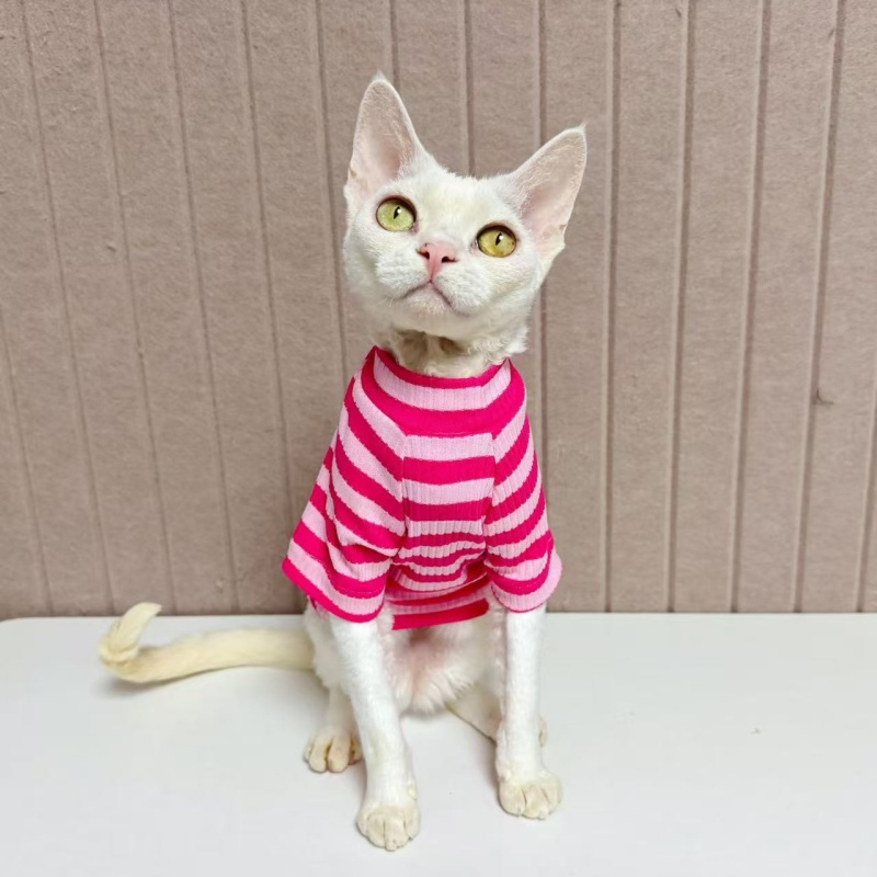 猫咪穿的舒服才是最重要！