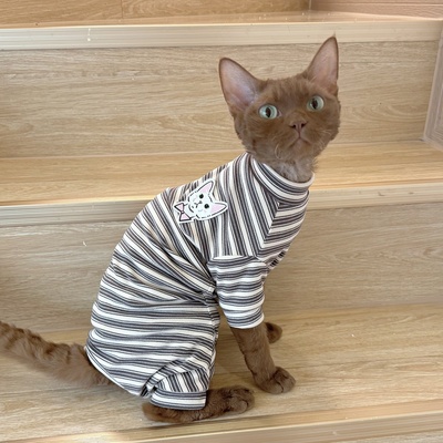 史芬克斯无毛猫德文衣服四脚德绒护肚保暖阿比秋冬宠物衣弹力柔软