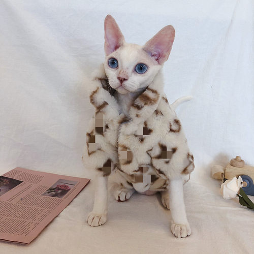 冬季斯芬克斯德文无毛猫衣服皮草加厚保暖厚外套潮牌摇粒绒防脱毛 - 封面