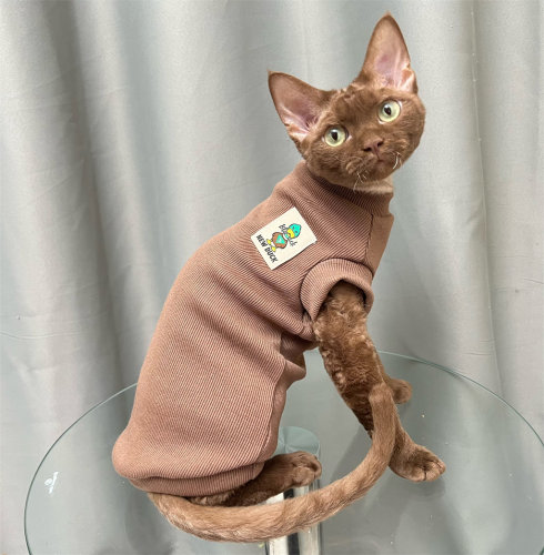 纯棉弹力背心好穿弹力大