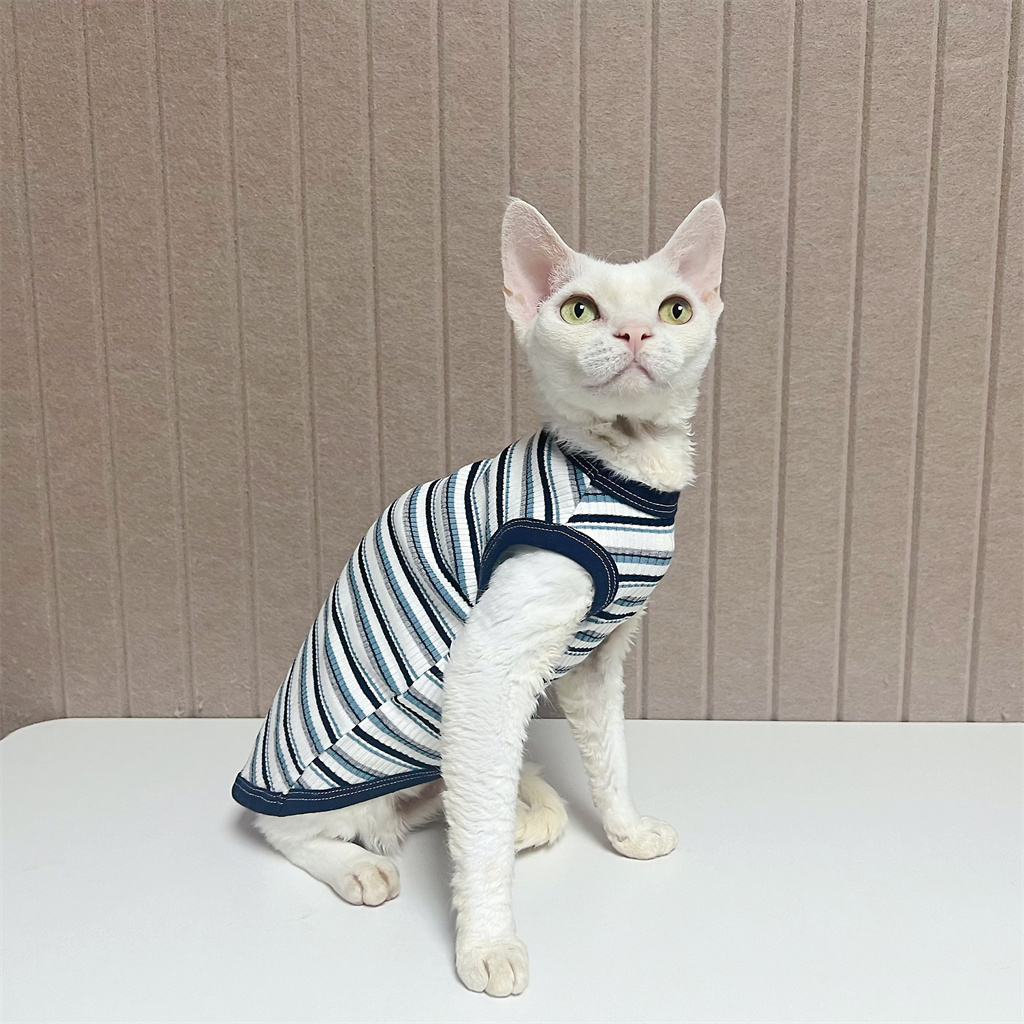 无毛蓝条纯棉德文猫衣服星际猫客