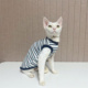 咔啦咪斯芬克斯无毛德文猫衣服宠物猫咪春秋保暖纯棉打底衫 蓝条
