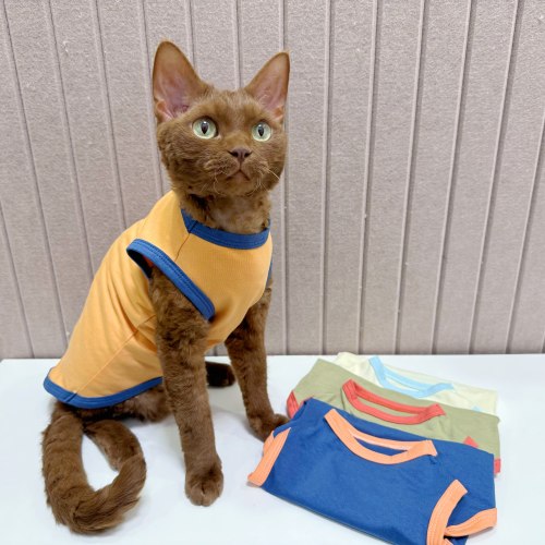 春夏纯棉弹力无毛猫德文背心