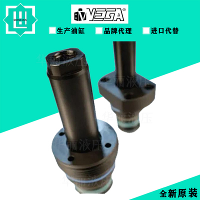重型系列液压缸VEGA意大利油缸