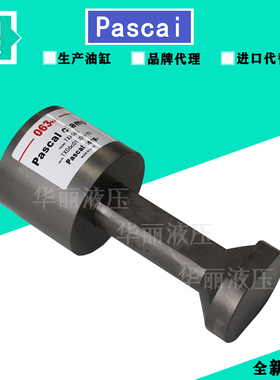 PASCAL帕斯卡油缸 液压缸TXA063 010 040 100夹紧器 支撑缸CSK TT