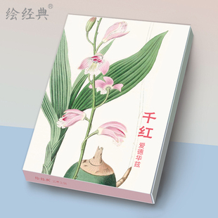 32张名家各种类花卉水彩画册集艺术小卡片手绘插画简约小清新文艺日系复古风生日贺卡创意礼物 明信片爱德华兹绘 绘经典 千红