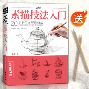 正统素描技法入门 零基础自学教程书籍铅笔绘画画册临摹范本单体石膏几何体静物人物成人初学者起步结构教材 杨建飞