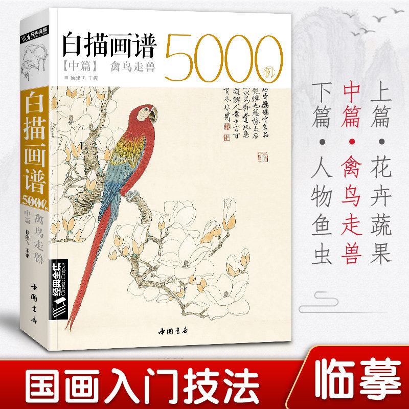 白描画谱5000例中篇·禽鸟走兽勾线描荷花卉临摹图谱书籍手绘自学