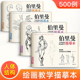 【8K大本】4册伯里曼人体结构教学描摹本  伯里曼素描速写绘画临摹本 速写人物结构练习册 正版 杨建飞主编 经典全集