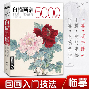 白描画谱5000例·上篇·花卉蔬果 中国工笔技法花鸟画册集书籍入门