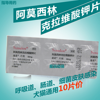 速诺阿莫西林克拉维酸钾 犬猫呼吸道皮肤病咳喘腹泻消化道10粒