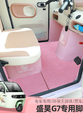 盛昊G3G15G7电动三四轮车脚垫全包围防滑丝圈垫脚踏垫耐磨垫子