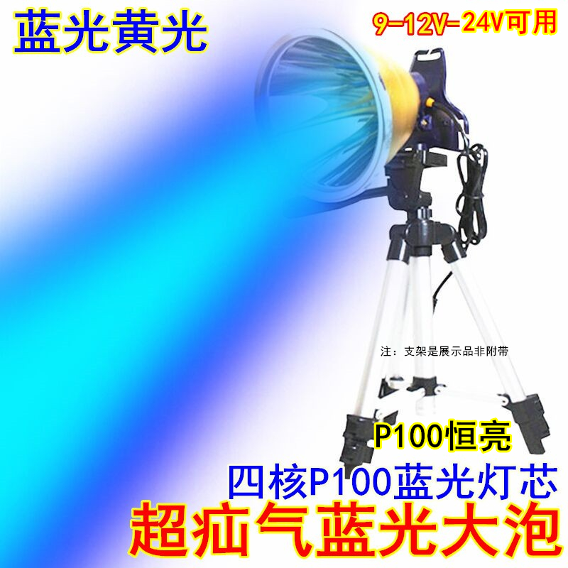 12V蓝光超疝气钓鱼灯9V-24V夜钓黄光头灯P100强光夹电瓶外接灯头