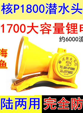 潜水头灯赶海防水头灯抓鱼