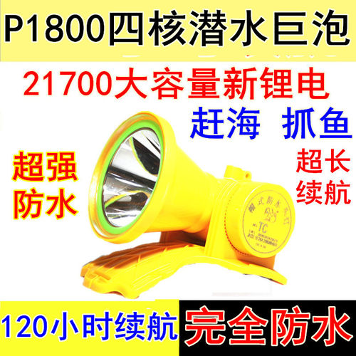 完全防水潜水头灯赶海水下抓鱼