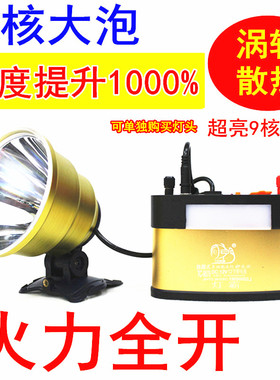 12V分体头灯外接电瓶9核十核超亮P1000强光钓鱼灯P90灯头P900充电