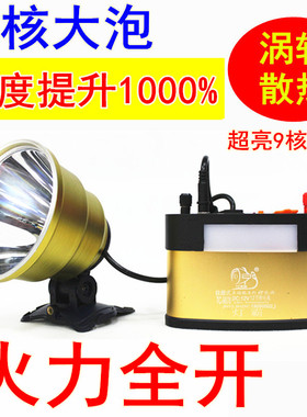 12V头灯外接电瓶9核超亮P1000强光钓鱼灯P90散光LED灯头P900充电
