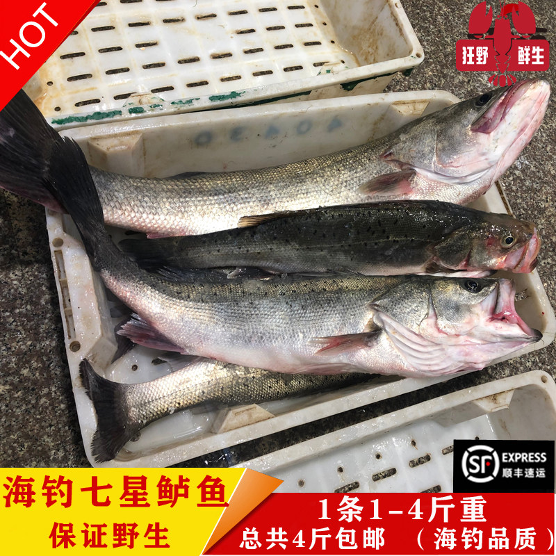 海鲜水产鲜活海钓品质冰鲜