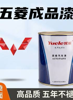 五菱系列成品漆颜色准质量好