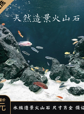 黑色火山石水族造景玄武石鱼缸过滤净化草缸火山石大块火山岩砌墙