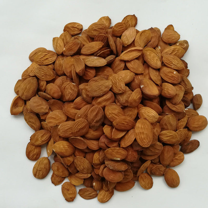 新品沂蒙山区手挑入药泡酒桃仁中药材生桃仁500g包邮