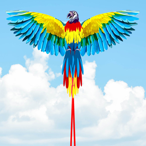 恒江鹦鹉孔雀风筝初学者