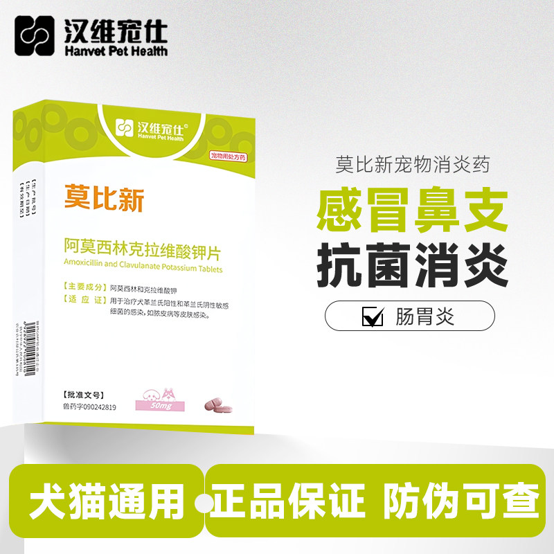 汉维宠仕莫比新阿莫西林