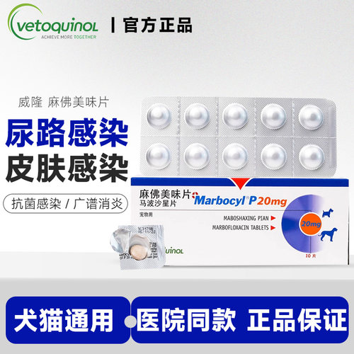 麻佛美味片宠物皮肤病脓皮症
