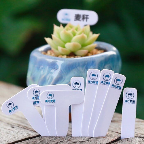 多肉标牌植物园艺直播