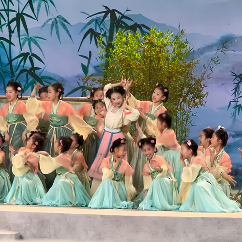 新款初夏演出服古典舞中国风汉唐舞古装女汉服襦裙飘逸舞蹈服装