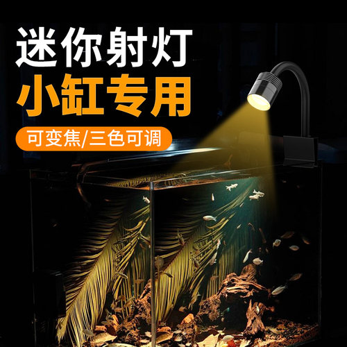 鱼缸灯变焦南美射灯溪流缸观赏灯雷龙照明灯LED南美缸造景水草灯