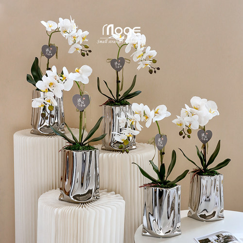 陌歌 高档蝴蝶兰仿真花摆件餐桌花假花客厅电视柜装饰品花艺摆设
