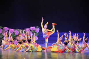 儿童小凤飞飞舞蹈演出服女童杂技柔术小鸟动物演出凤凰表演小鸿雁