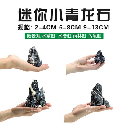 青龙石小块酸洗精选微观草缸造景石自然苔藓缸迷你型摆件小假山石