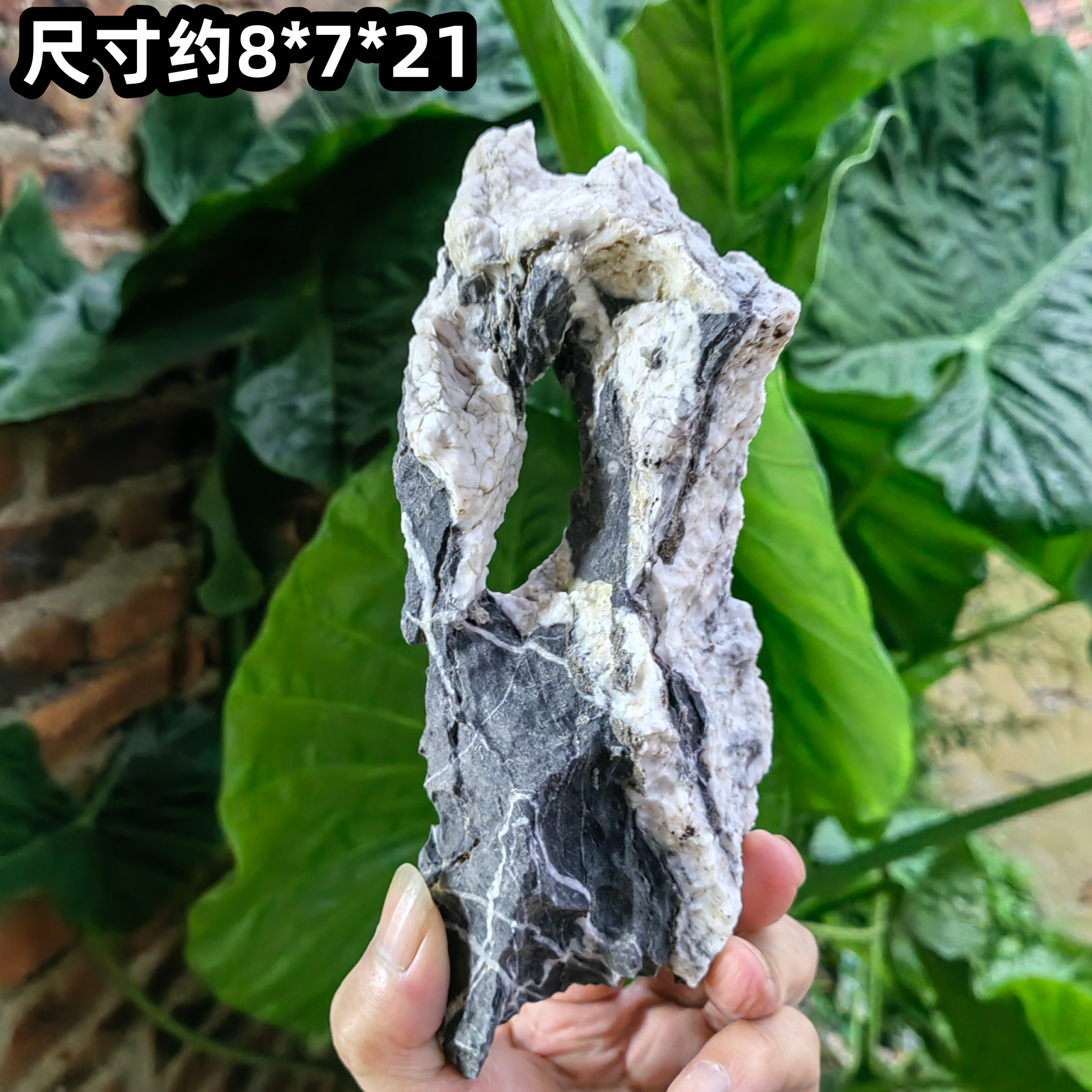 酸洗青龙石盆栽石造景长条石盆景造景/装饰
