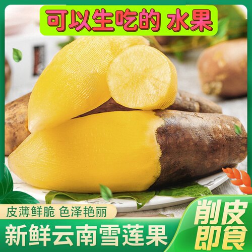现挖新鲜！雪莲果！清爽鲜甜